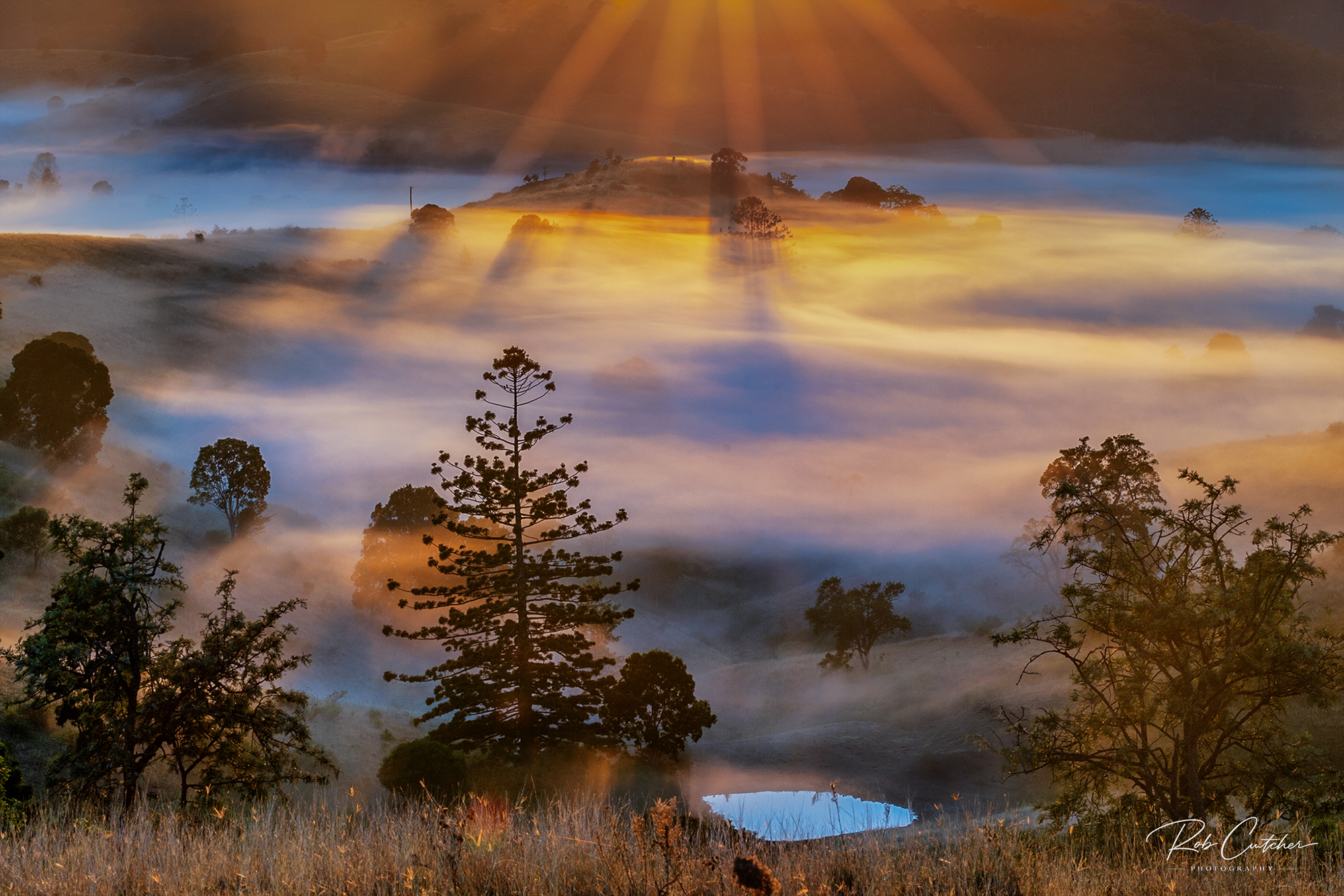 Foggy Morning over Carney's Creek