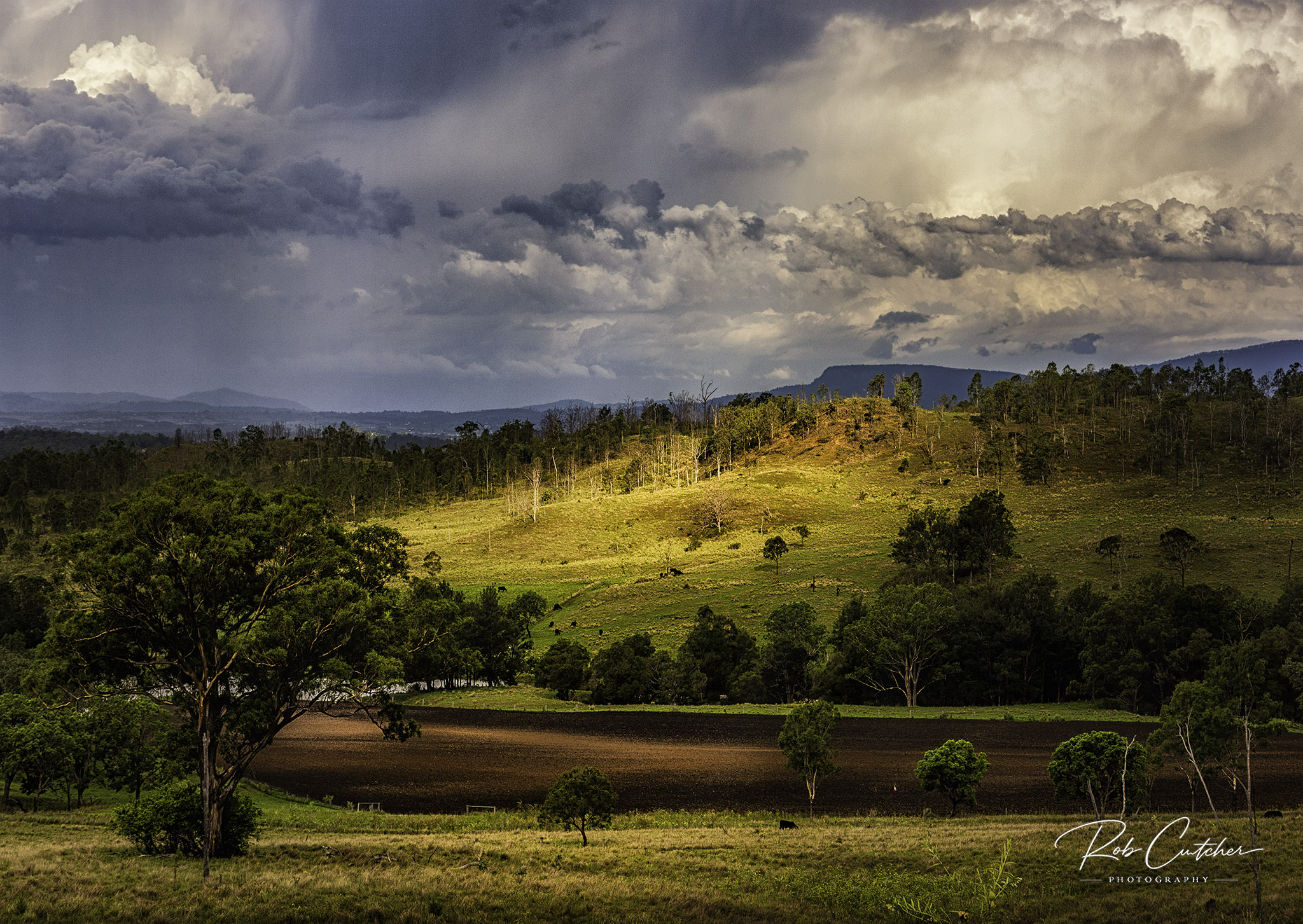 Beautiful Light