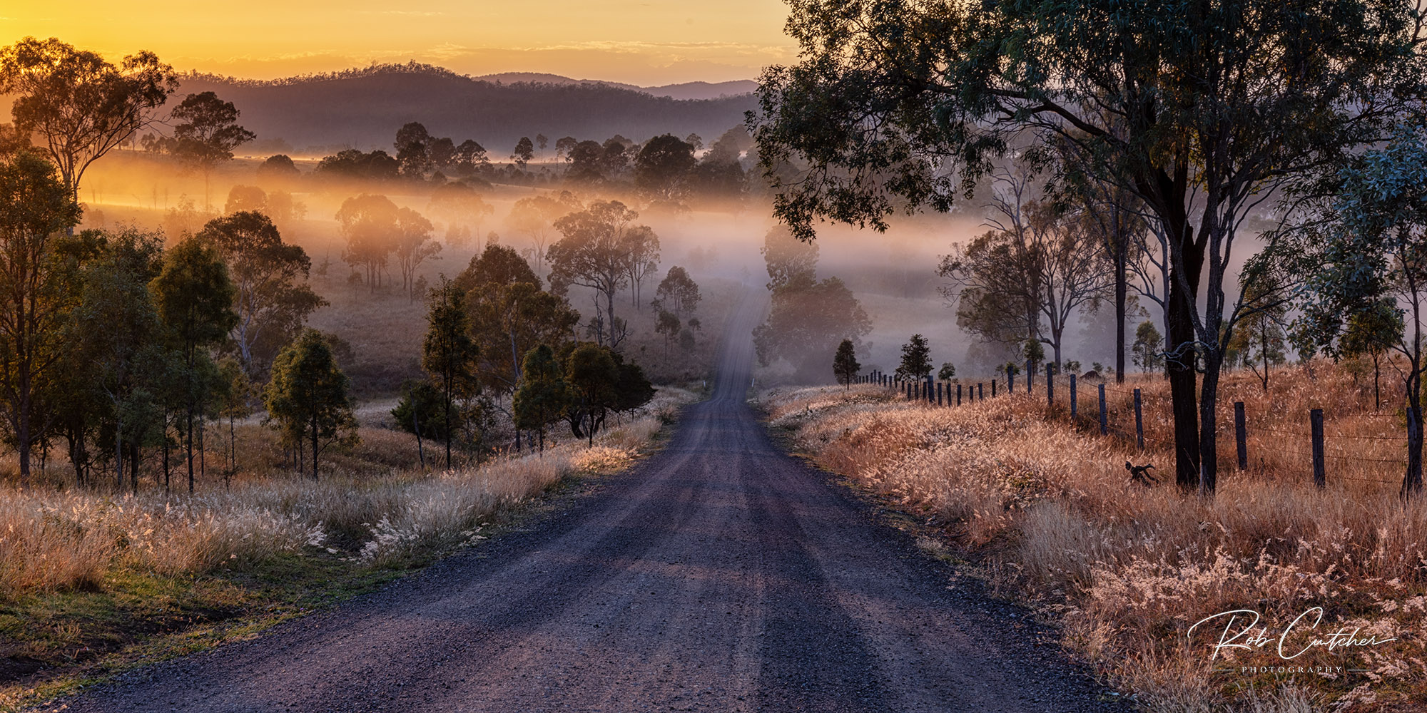 Foggy Backroad