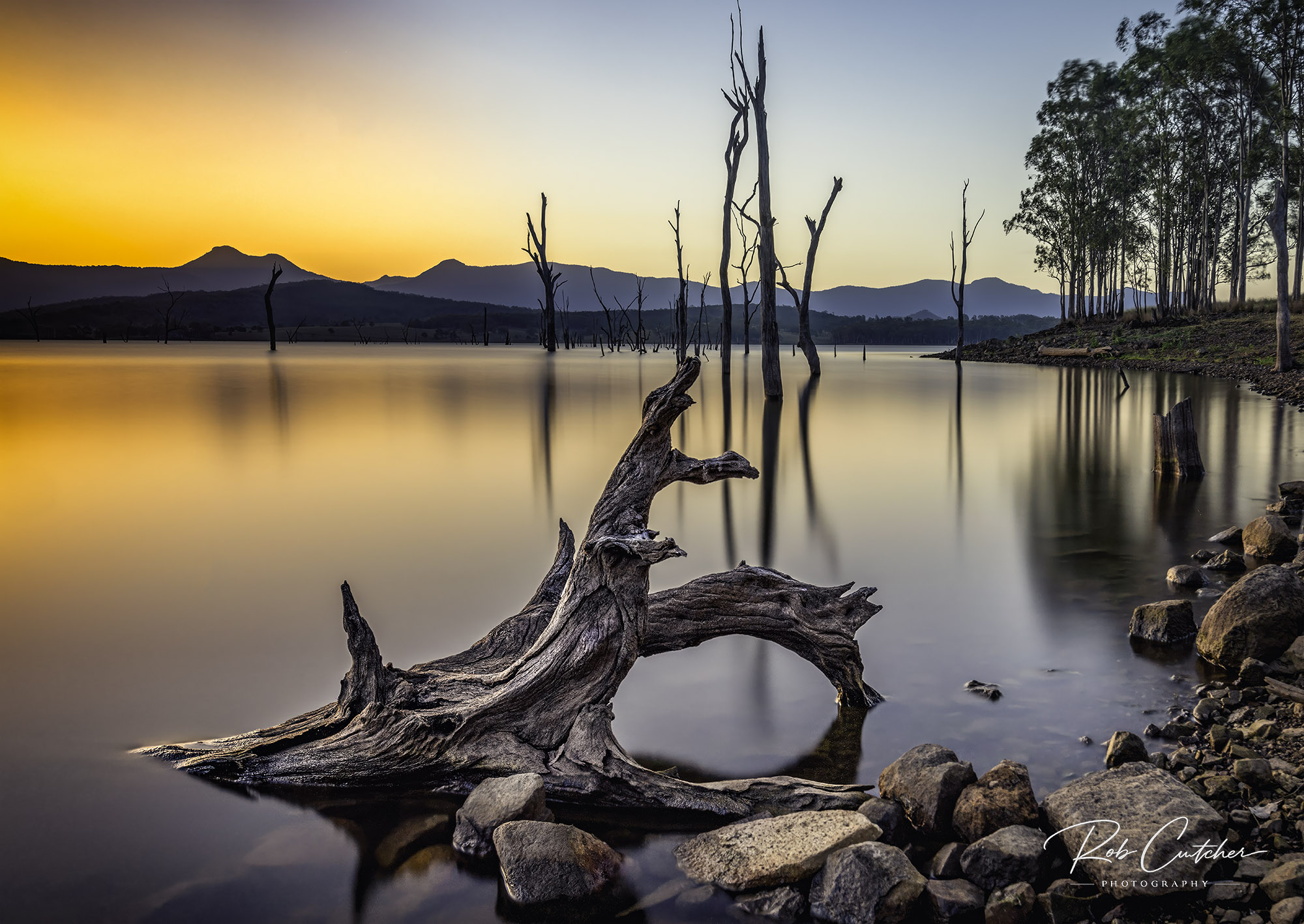Ghosts of the lake