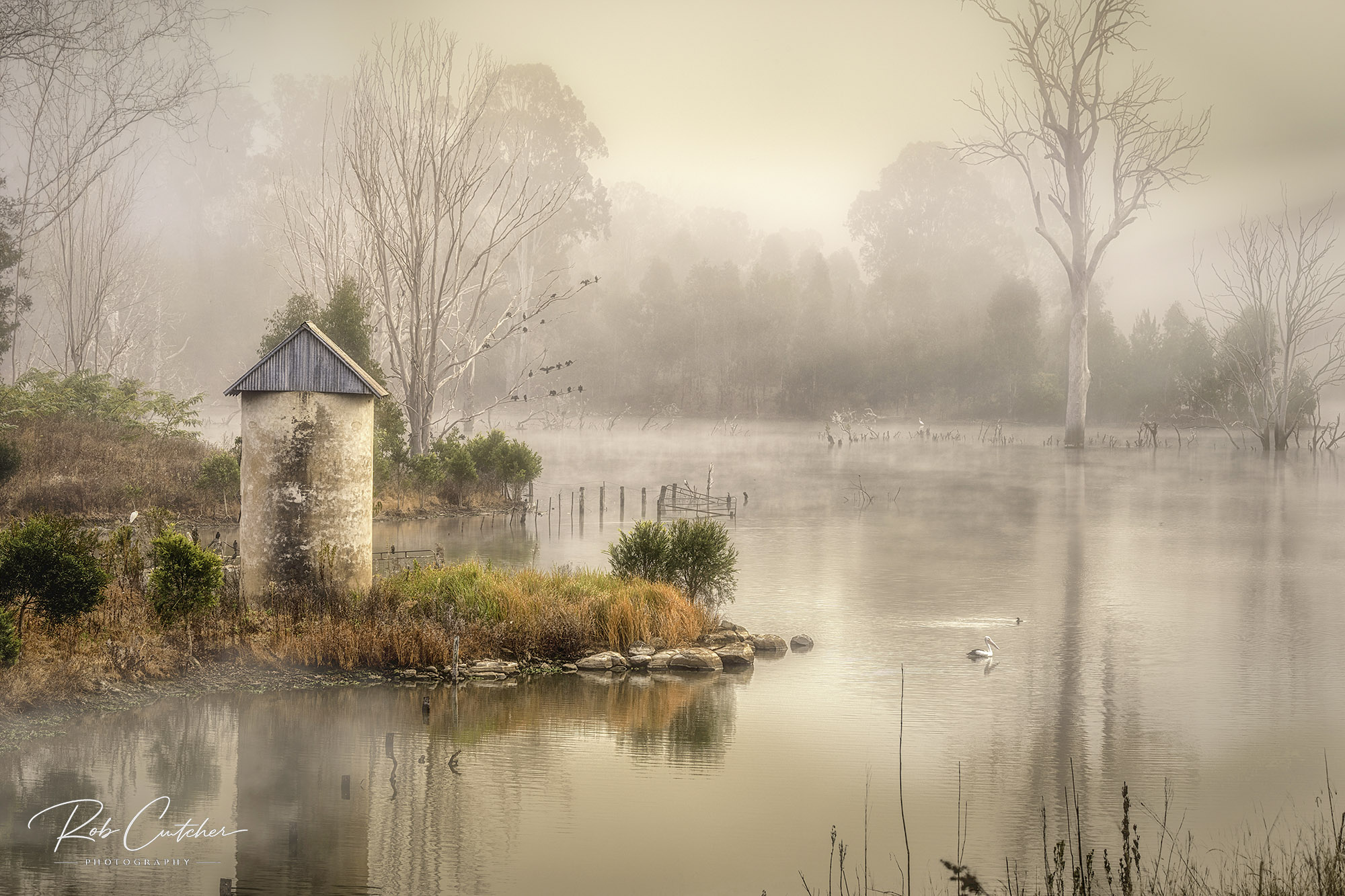 Mystic Wyaralong