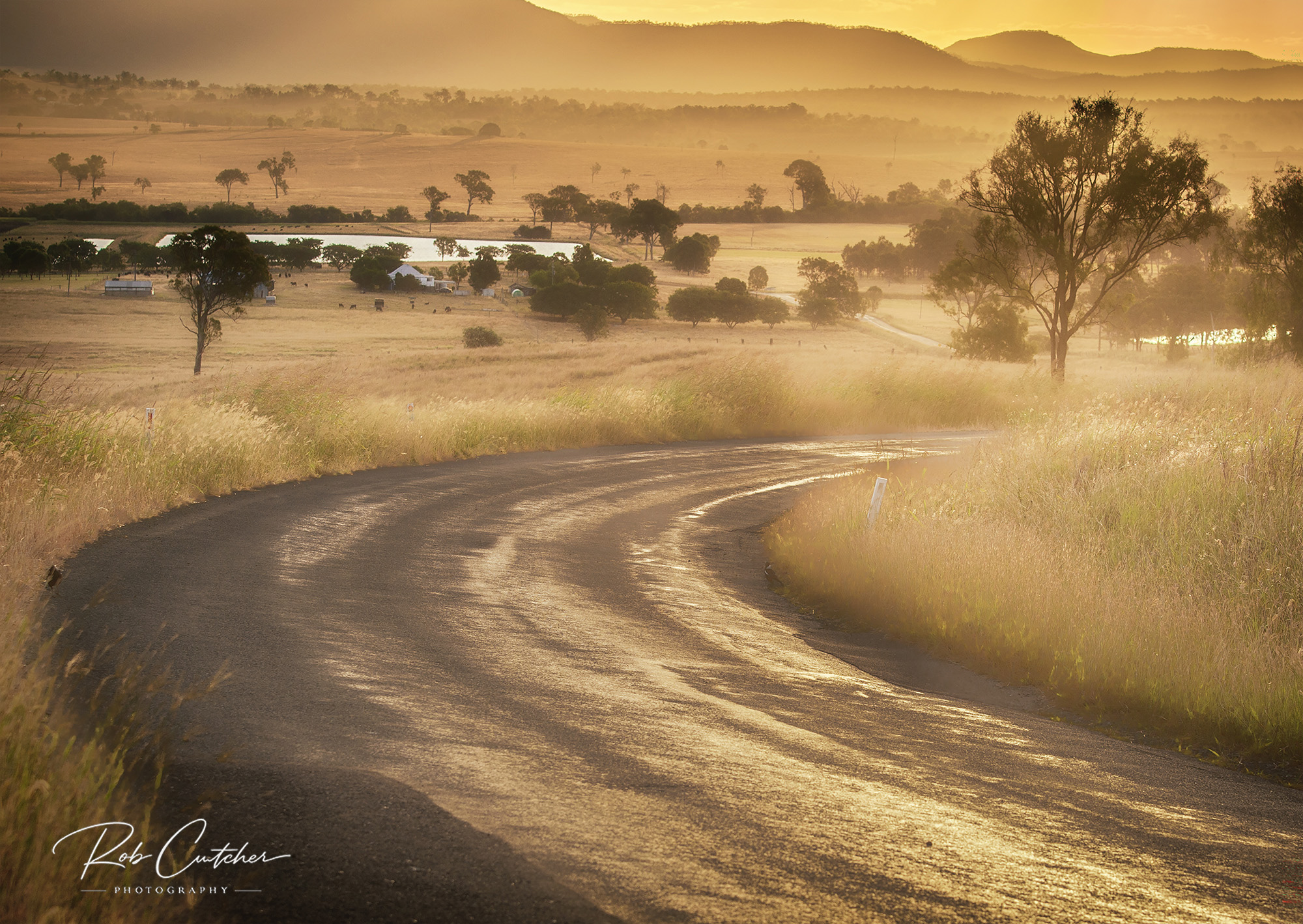 Dusty Road
