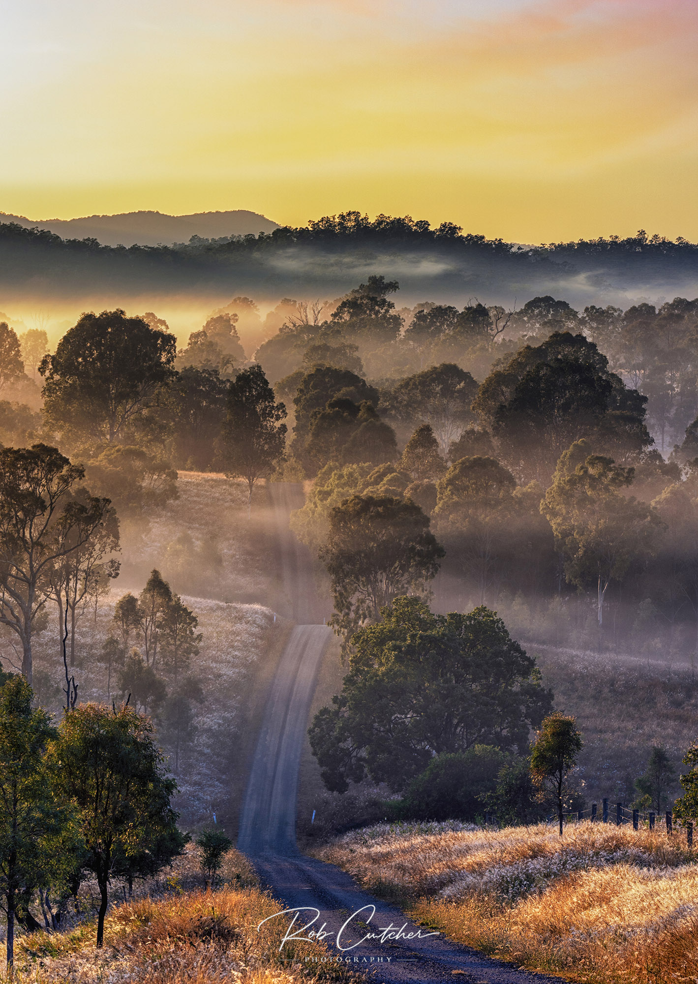 Morning Mist