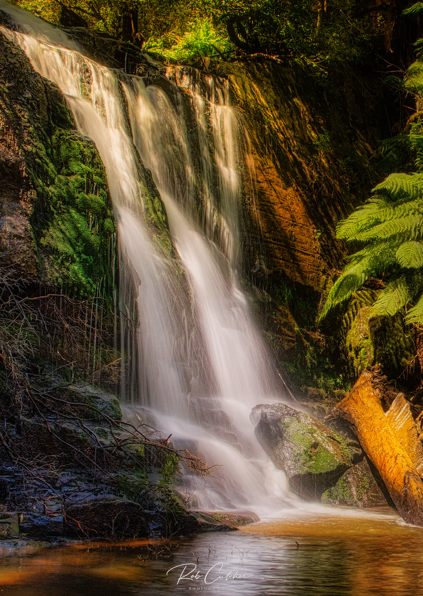 Tasmania Waterfall