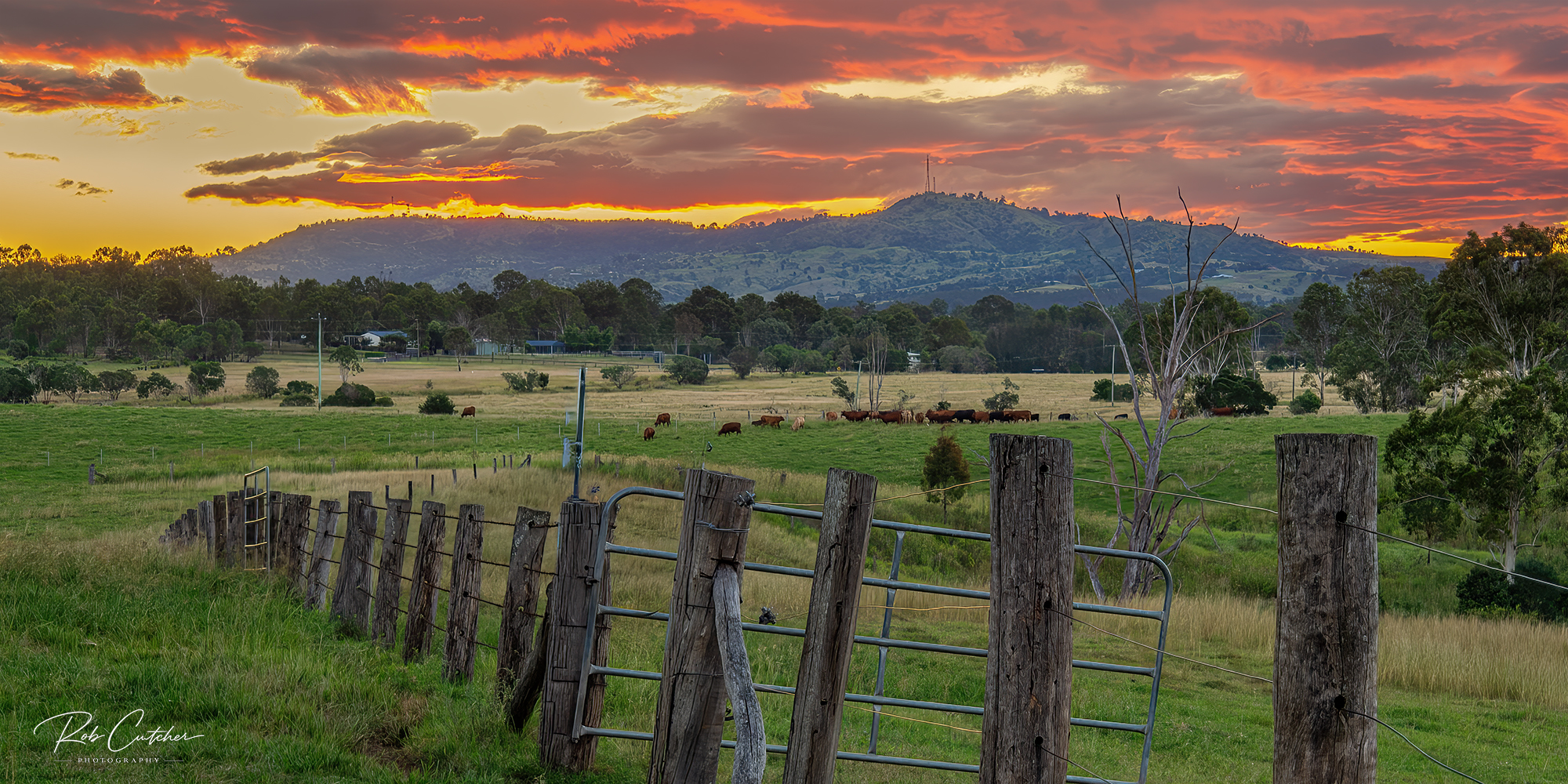 Along the Fenceline