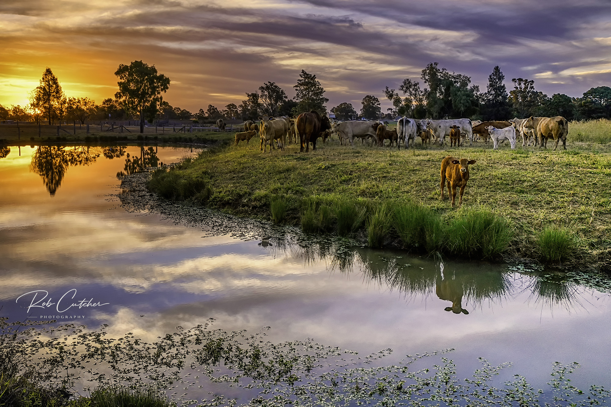 Evening Muster