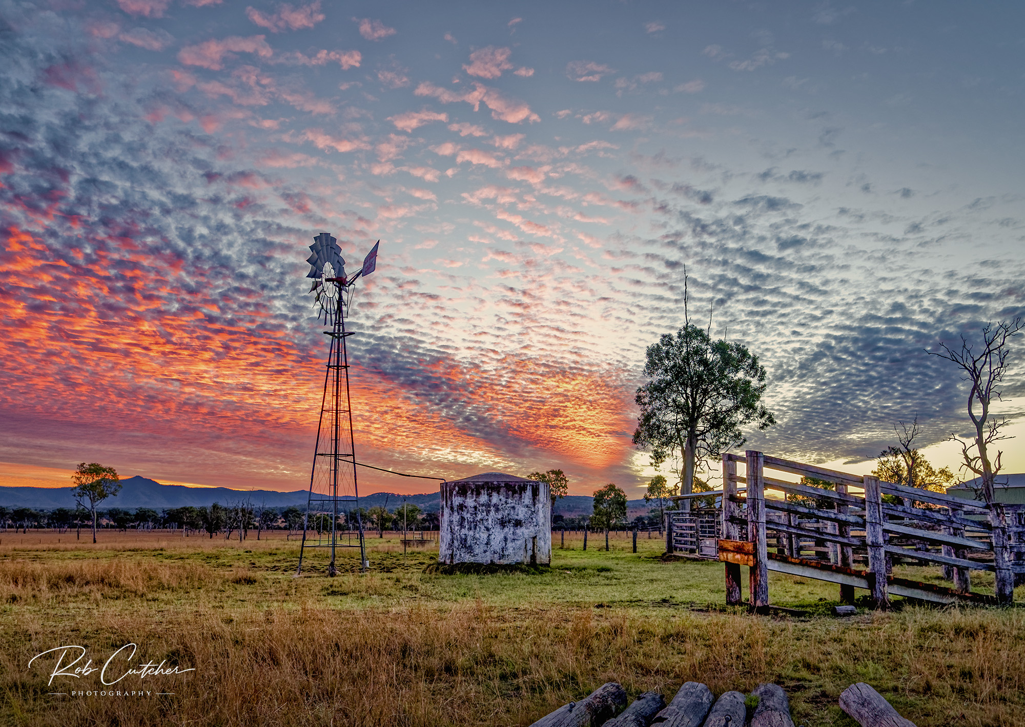 Stockyard Sunset