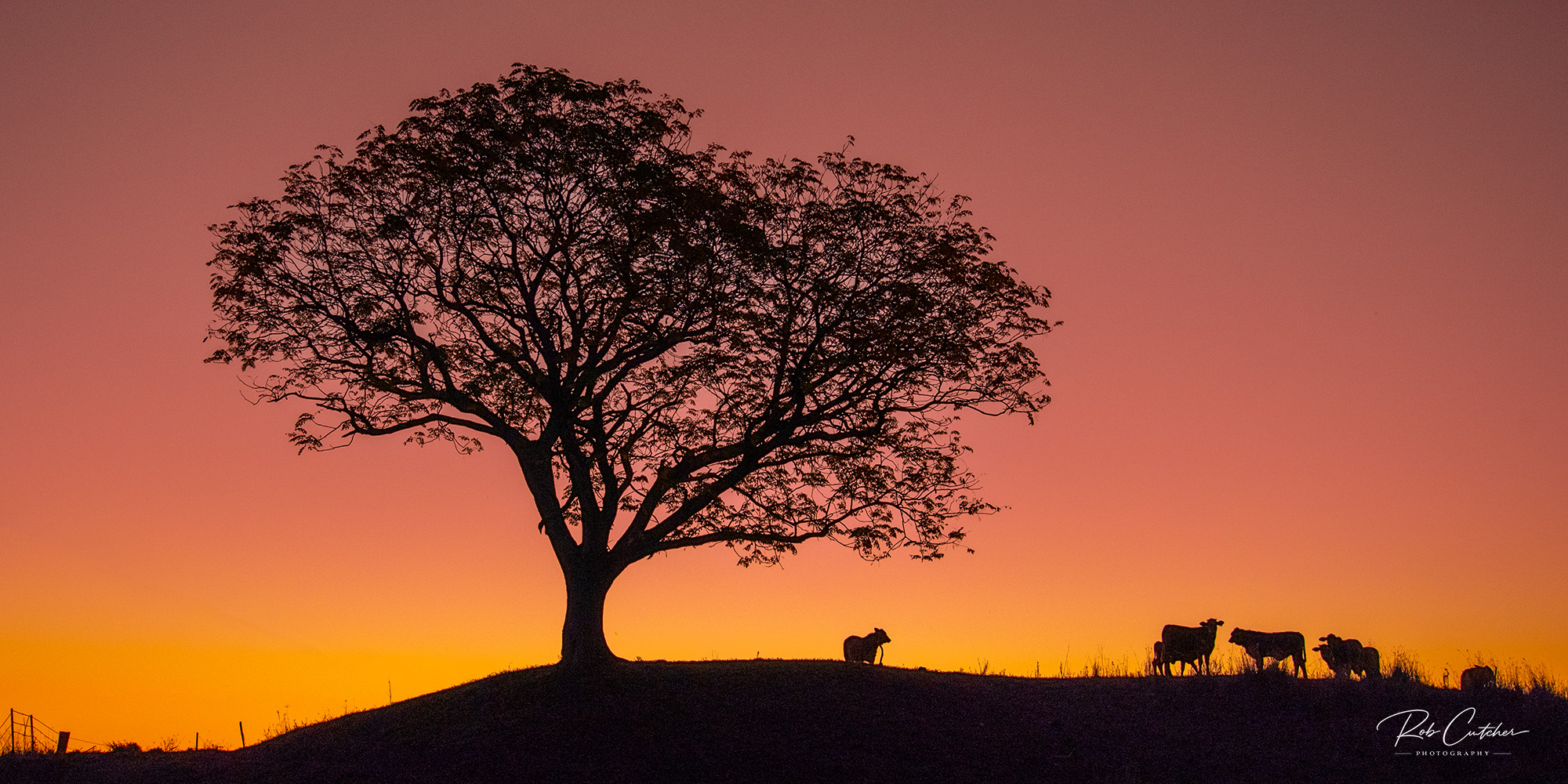 Last Light
