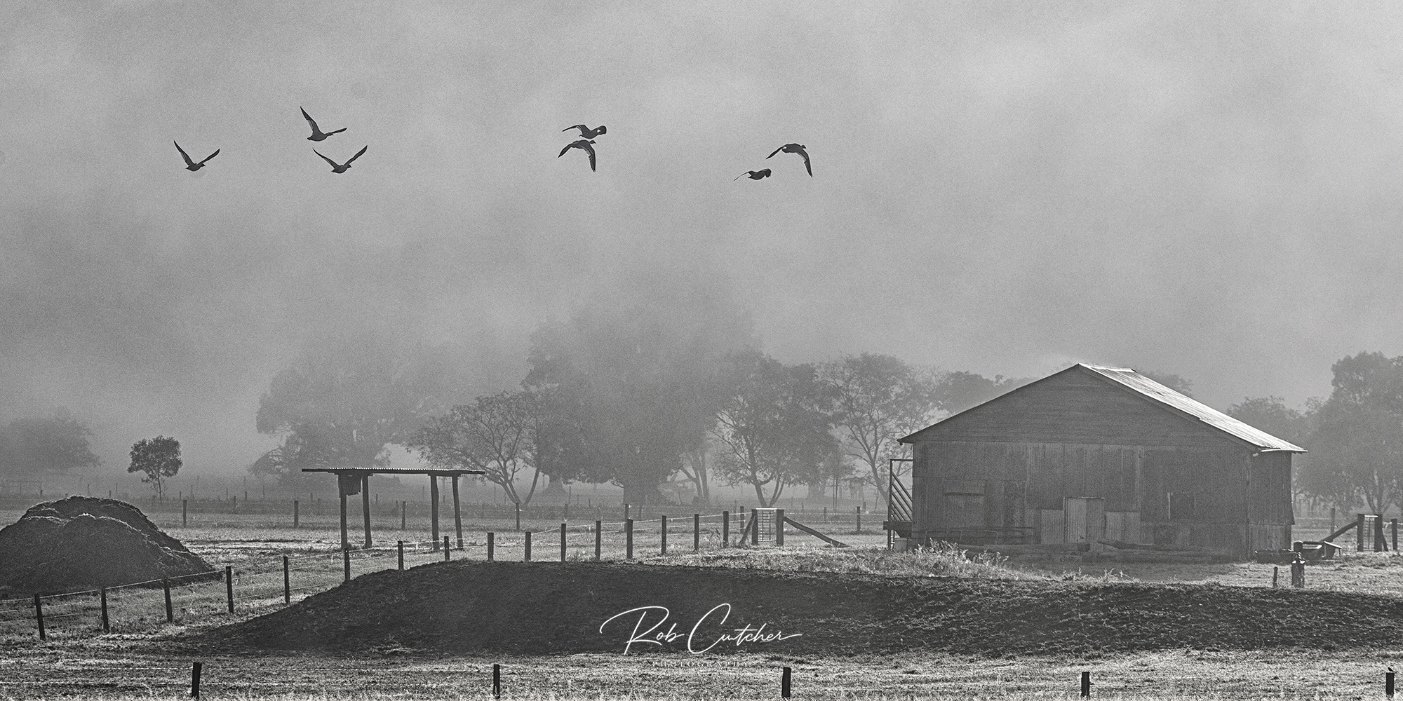 A Quiet Morning